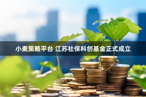 小麦策略平台 江苏社保科创基金正式成立
