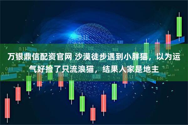万银鼎信配资官网 沙漠徒步遇到小胖猫，以为运气好捡了只流浪猫，结果人家是地主