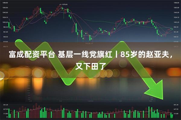 富成配资平台 基层一线党旗红丨85岁的赵亚夫，又下田了